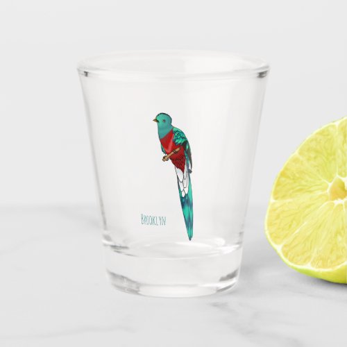 Resplendent quetzal bird cartoon illustration  shot glass