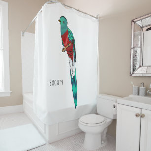 Resplendent quetzal bird cartoon illustration shower curtain