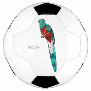Resplendent quetzal bird cartoon illustration soccer ball