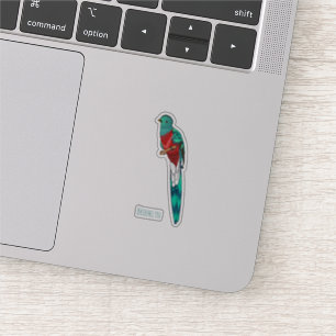 Resplendent quetzal bird cartoon illustration sticker