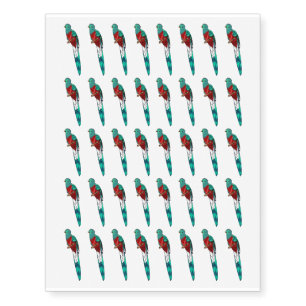 Resplendent quetzal bird cartoon illustration temporary tattoos