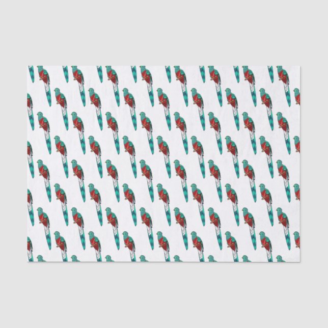 Resplendent quetzal bird cartoon illustration tissue paper (Front)