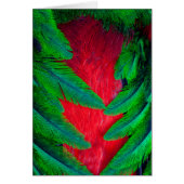 Resplendent Quetzal feather design (Front)