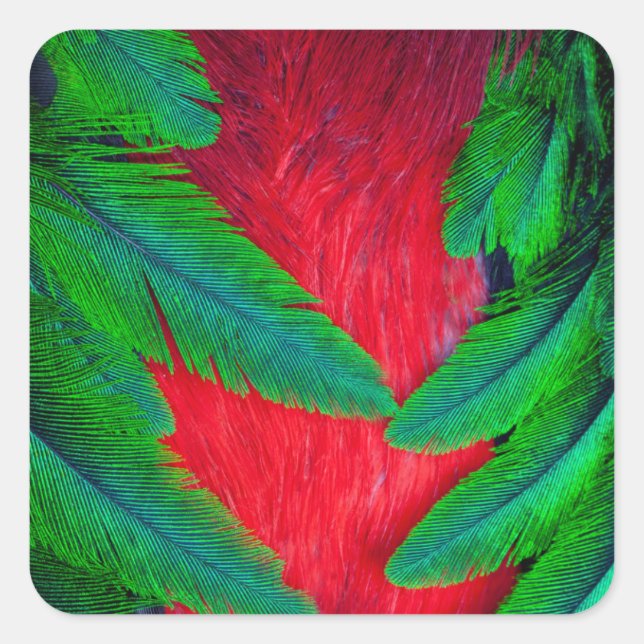 Resplendent Quetzal feather design Square Sticker (Front)