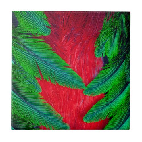 Resplendent Quetzal feather design Tile