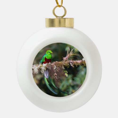 Resplendent Quetzal in the Cloud Forest Ceramic Ball Christmas Ornament