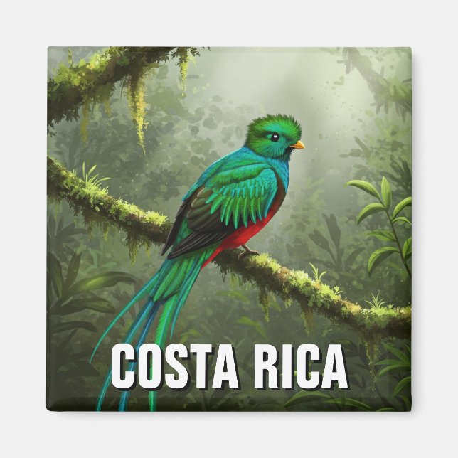 Resplendent Quetzal Monteverde cloud forest Magnet (Front)
