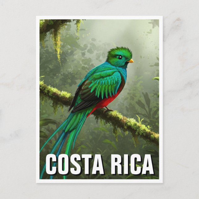 Resplendent Quetzal Monteverde cloud forest Postcard (Front)
