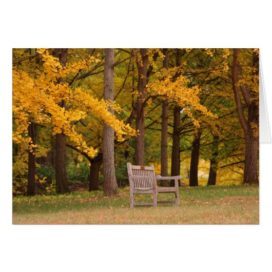 Rest For Awhile (Front Horizontal)