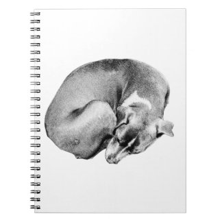 Rest Notes Notebook