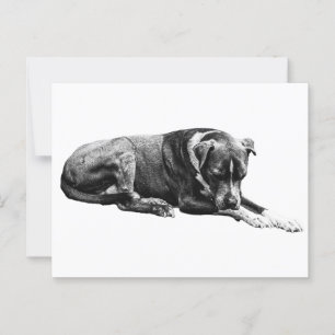 Rest Pose Dog Postcard