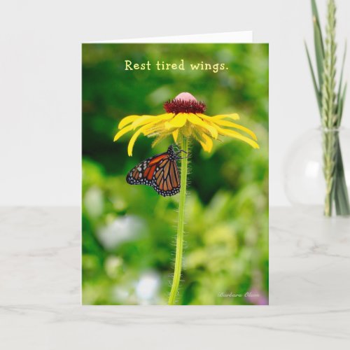 Rest tired wingsNature provides comfort  healing Card