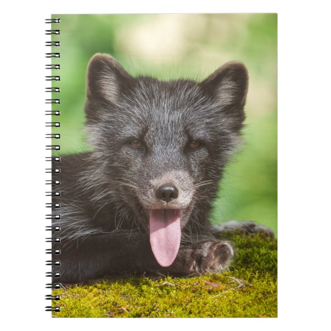 Resting Arctic Fox Notebook (Front)