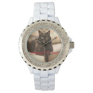 Resting b**** face cat watch