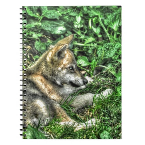 Resting Baby Wolf Pup Wildlife Photo Notebook