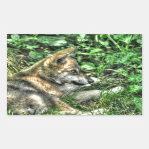 Resting Baby Wolf Pup Wildlife Photo Rectangular Sticker