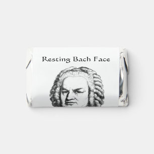 Resting Bach Face Classical Music Composer Hershey's Miniatures