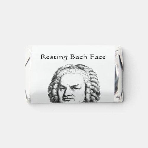 Resting Bach Face Classical Music Composer Hersheys Miniatures