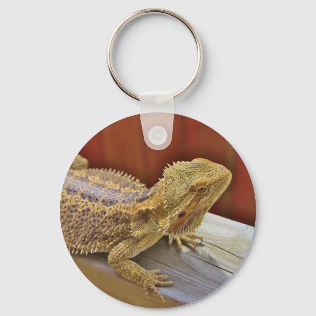 Resting Bearded Dragon 2 Keychain (Front)