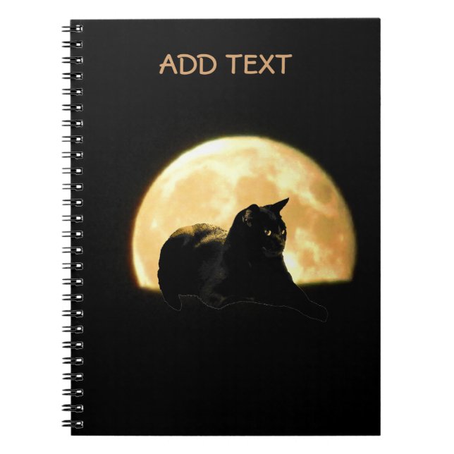 Resting Black Cat Against Full Moon Notebook (Front)
