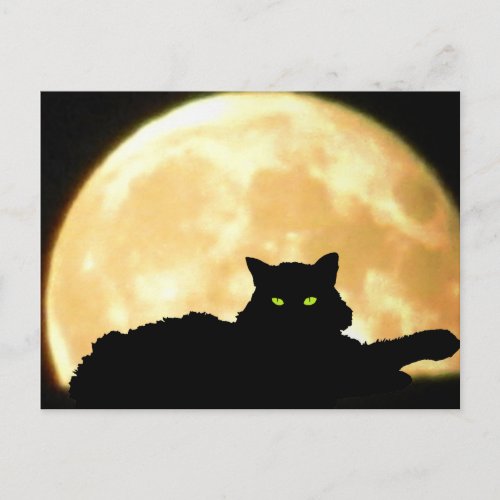 Resting Black Cat and Full Moon Postcard