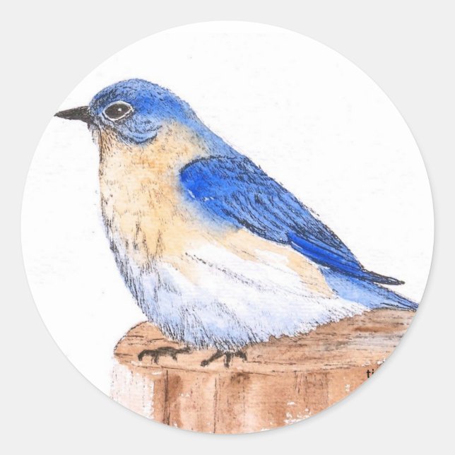 Resting Bluebird Classic Round Sticker (Front)