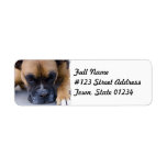 Resting Boxer Dog Mailing Label