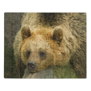 Resting Brown Bear Jigsaw Puzzle