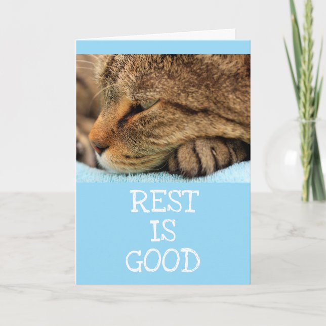 Resting Cat Kitty Advice Get Well Card (Front)