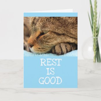 Resting Cat Kitty Advice Get Well Card by Therupieshop at Zazzle