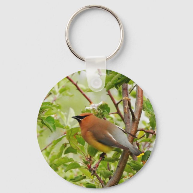 Resting Cedar Waxwing Keychain (Front)