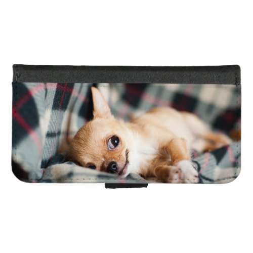 Resting Chihuahua iPhone 87 Wallet Case