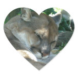 Resting Cougar Stickers