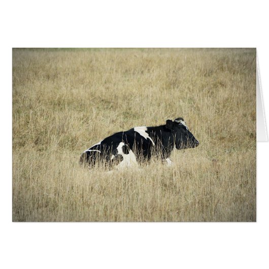 Resting Cow - Card (Front Horizontal)