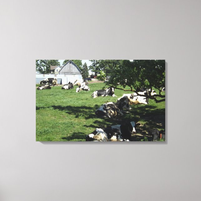 Resting Cows on the Farm Wrapped Canvas Art (Front)