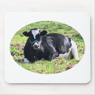 Resting Dairy Cow Circle Transparent Background Mouse Pad