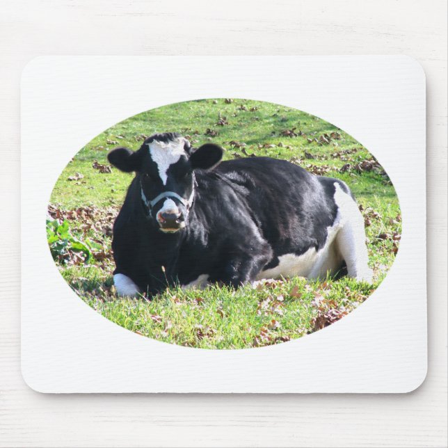 Resting Dairy Cow Circle Transparent Background Mouse Pad (Front)