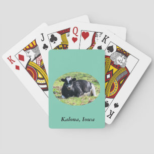 Resting Dairy Cow, Kalona, Iowa Poker Cards