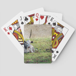 Resting Dairy Cow Poker Cards