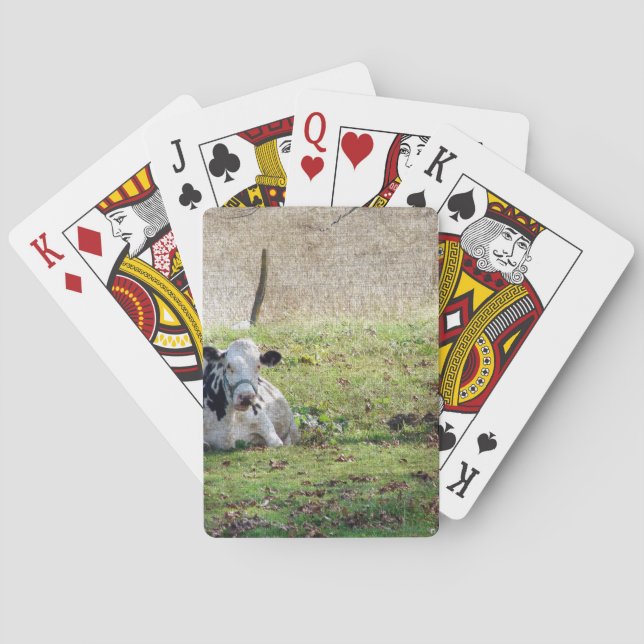 Resting Dairy Cow Poker Cards (Back)