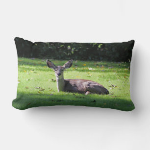 Resting Deer on Lawn Lumbar Pillow