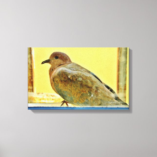 Resting Dove Canvas Print (Front)
