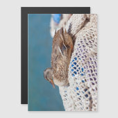 Resting Duck (Front/Back)