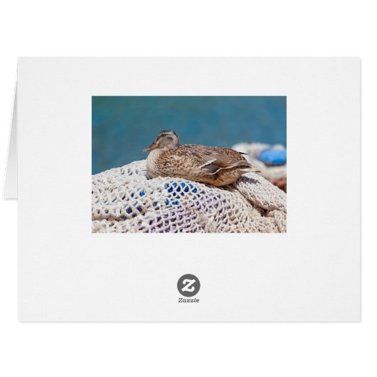 Resting Duck (Back Horizontal)