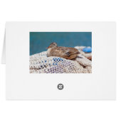 Resting Duck (Back Horizontal)