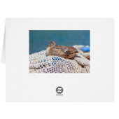 Resting Duck Cards (Back Horizontal)