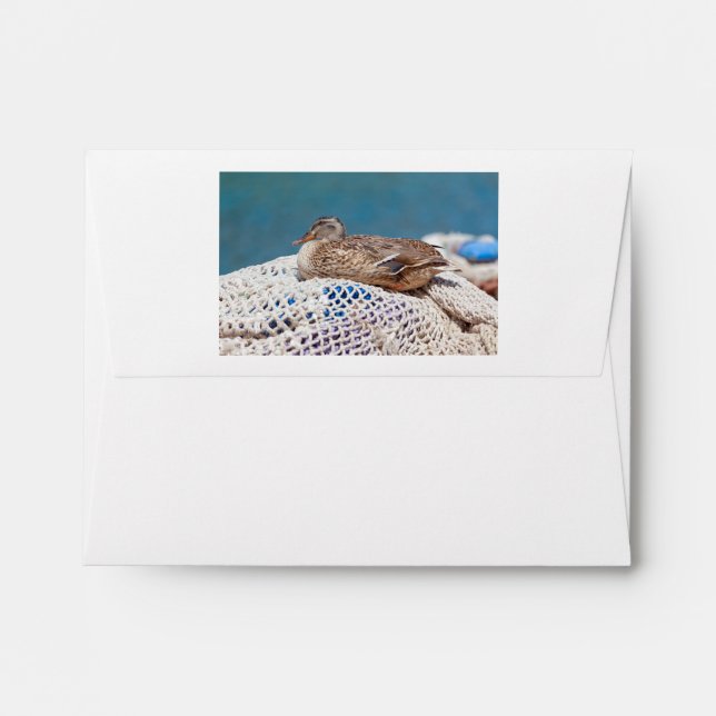 Resting Duck Envelope (Back (Top Flap))