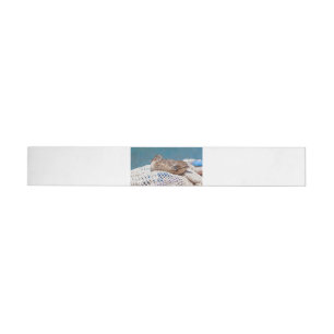 Resting Duck Wrap Around Address Label