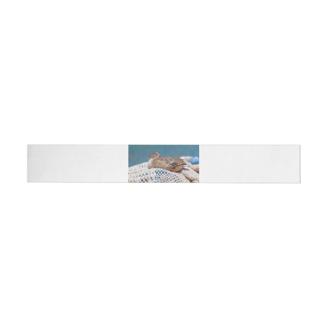 Resting Duck Wrap Around Address Label (Individual)