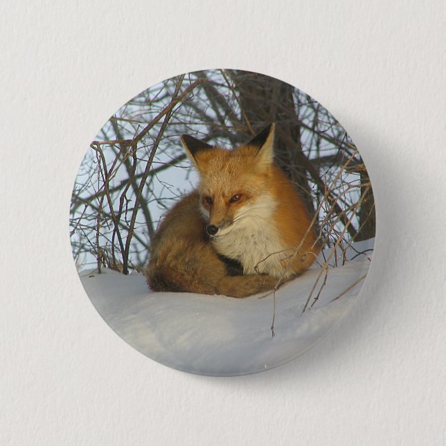 Resting Fox Button (Front)